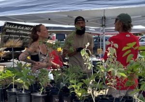 Pohoiki Native Plant Sale
