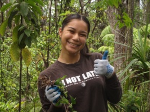 Forest Volunteer