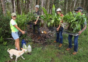 Fall Equinox Planting