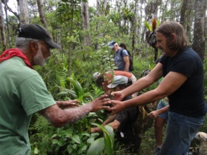 Laulima i Hawaii / Working together in Hawai'i