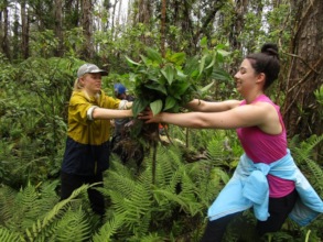 Volunteer Students working together