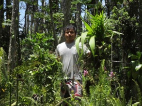 Hilo High School Student Volunteer on July 16th