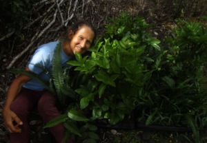 June 21st Summer Solstice Planting Event