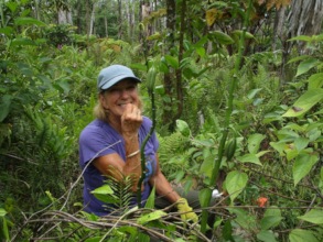 Eating the native mamaki berry