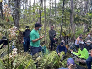 University Of Hawaii at Hilo Vegetation Class