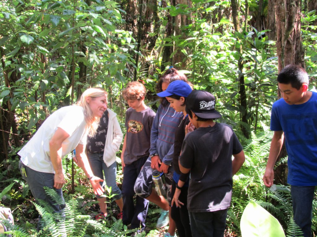 Protect  Hawaii's Last Lowland Native Rainforest