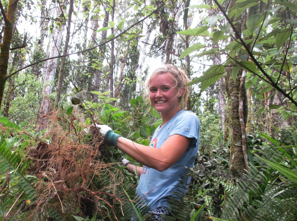 Protect  Hawaii's Last Lowland Native Rainforest