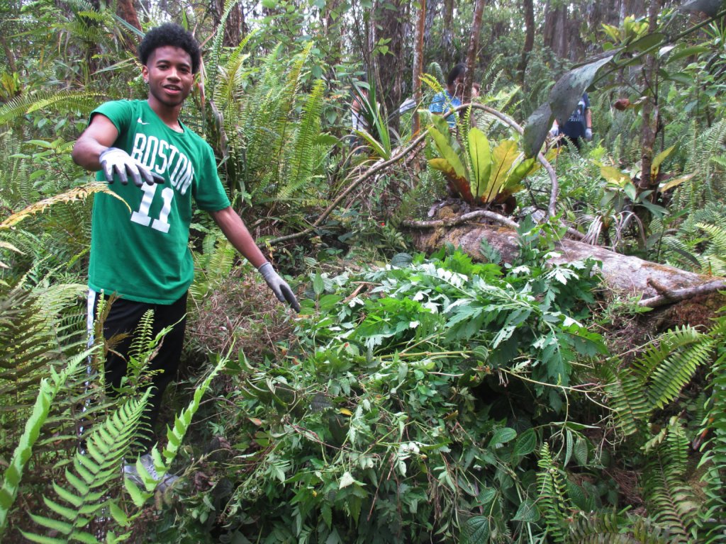 Protect  Hawaii's Last Lowland Native Rainforest