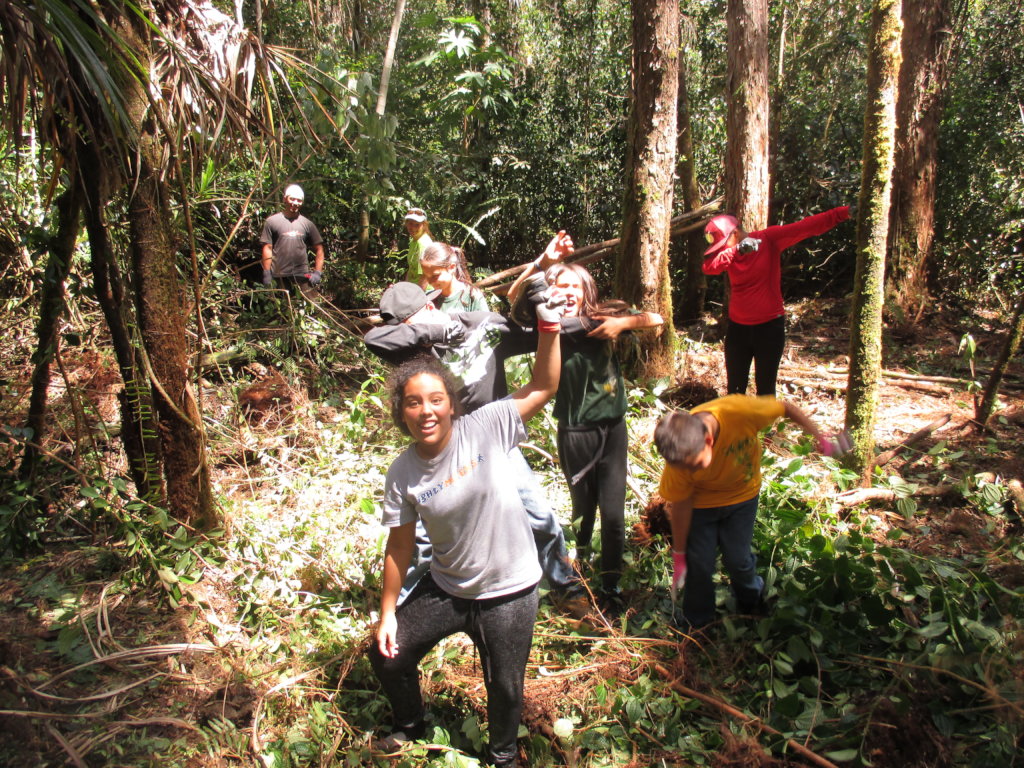 Protect  Hawaii's Last Lowland Native Rainforest