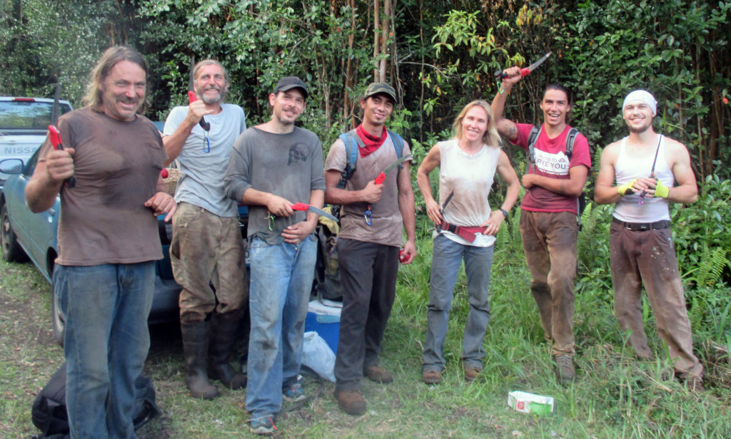 Protect  Hawaii's Last Lowland Native Rainforest