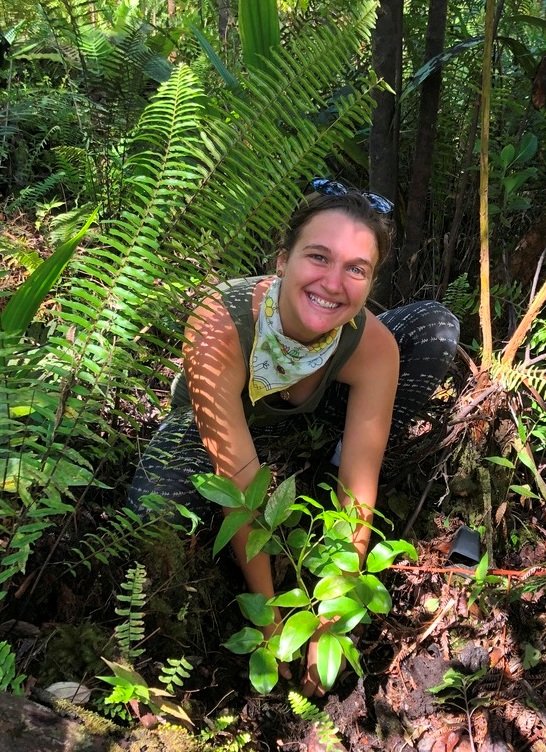 Protect  Hawaii's Last Lowland Native Rainforest