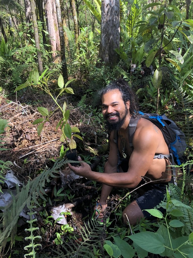 Protect  Hawaii's Last Lowland Native Rainforest