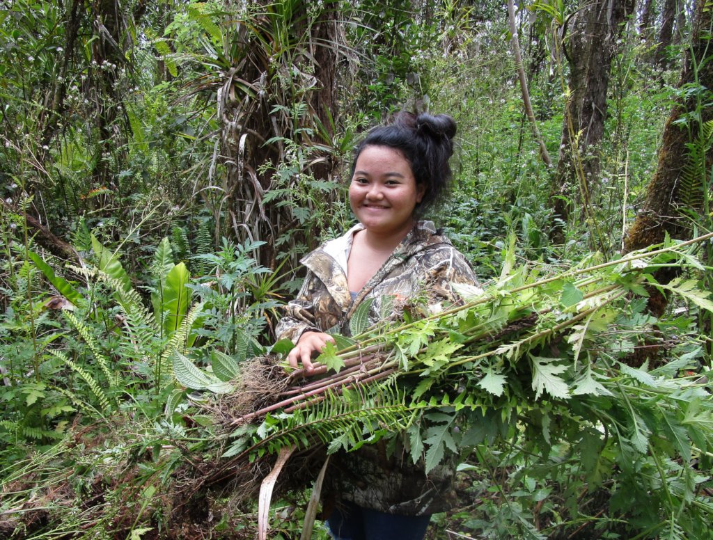 Protect  Hawaii's Last Lowland Native Rainforest