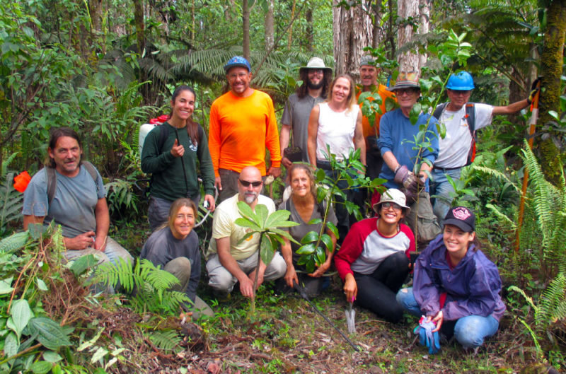 Protect  Hawaii's Last Lowland Native Rainforest