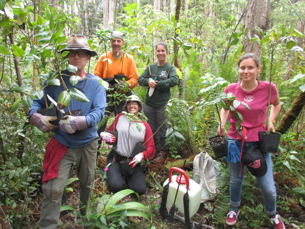 Protect  Hawaii's Last Lowland Native Rainforest