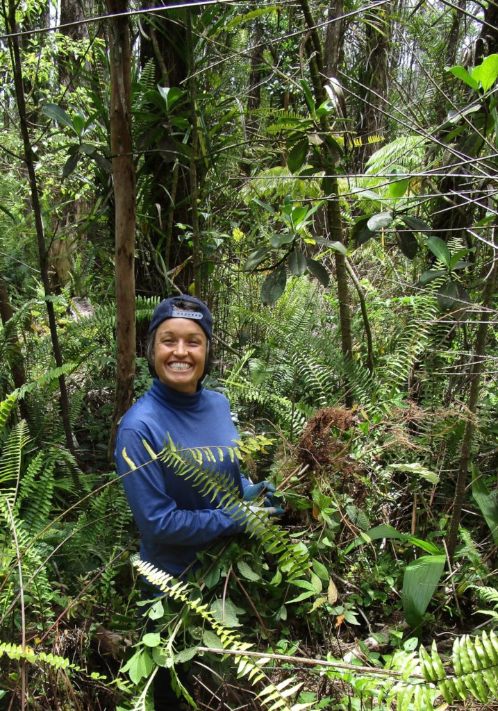 Protect  Hawaii's Last Lowland Native Rainforest