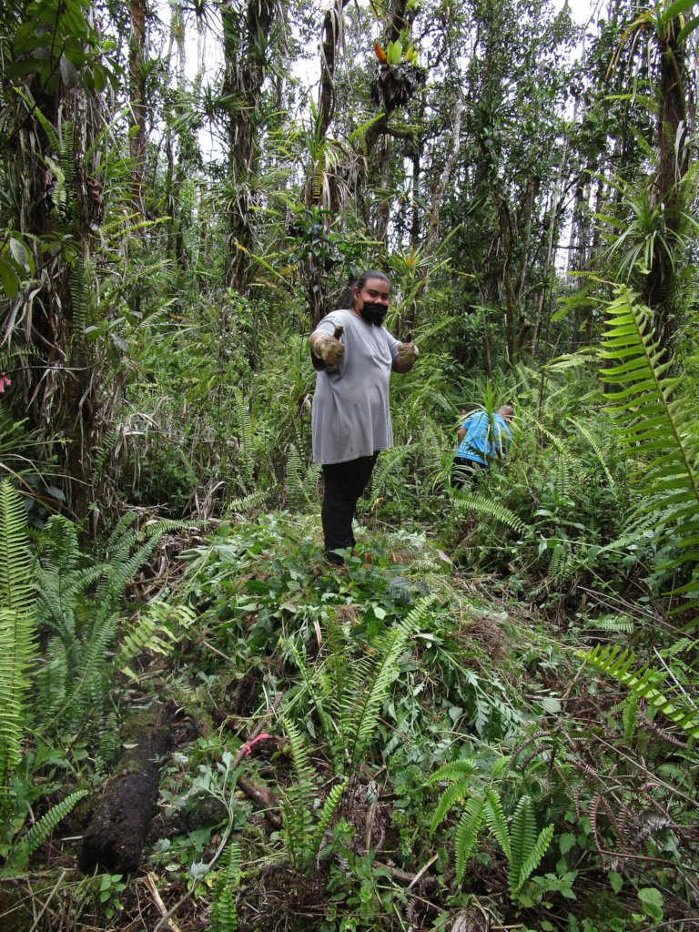 Protect  Hawaii's Last Lowland Native Rainforest