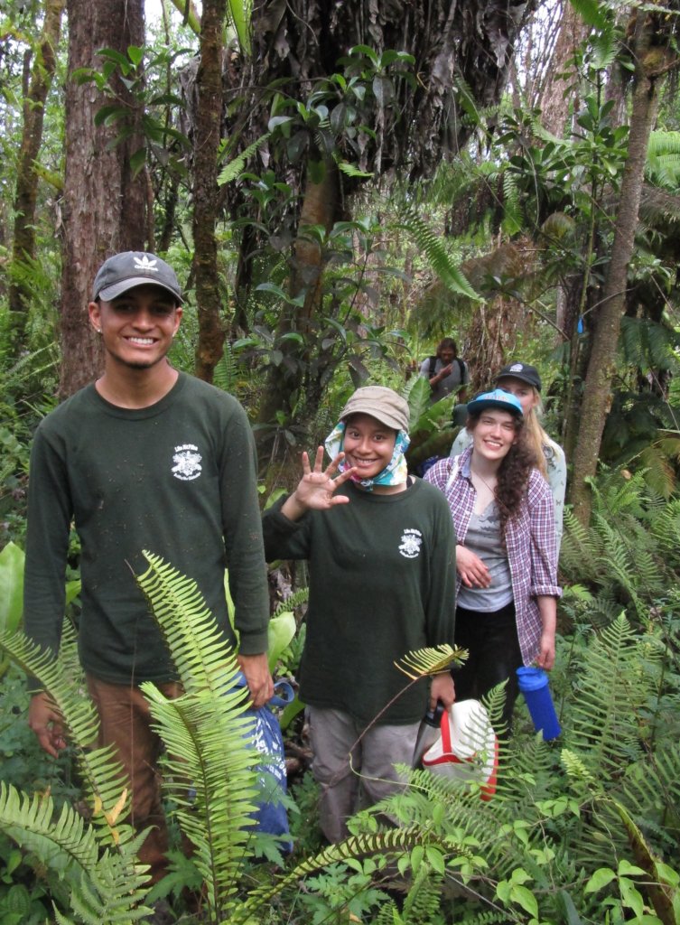 Protect  Hawaii's Last Lowland Native Rainforest