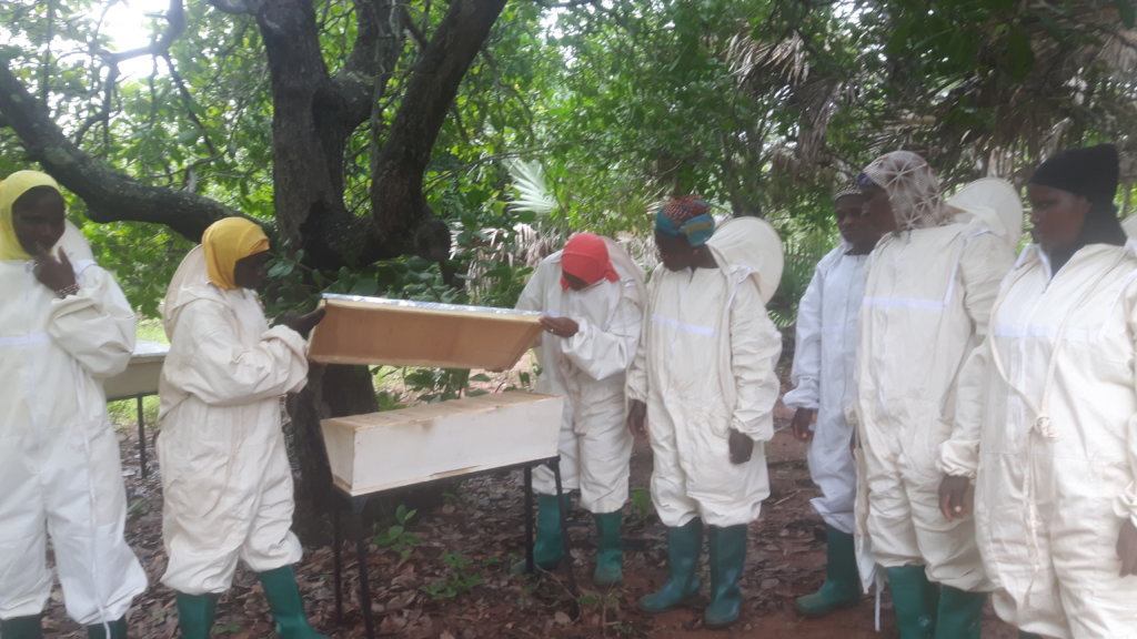 Better life for 100 women beekeepers