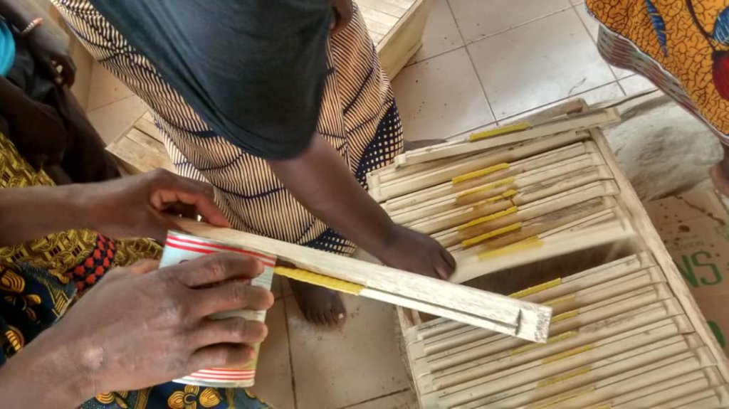 Better life for 100 women beekeepers