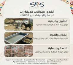 AWARENESS-RAISING POSTER2