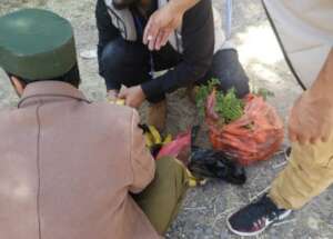 Preparing food for animals