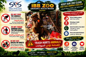 PROTECT ANIMALS POSTER