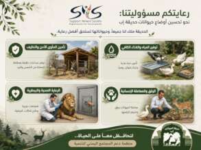 SOME OF SYS ACTIVITIES