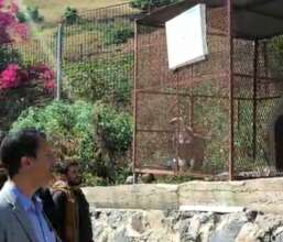 VISITORS AT IBB ZOO