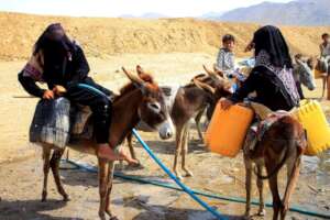 Donkeys Transporting Water for Families
