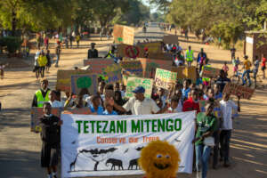 Conserve our Trees student campaign Jul 2023