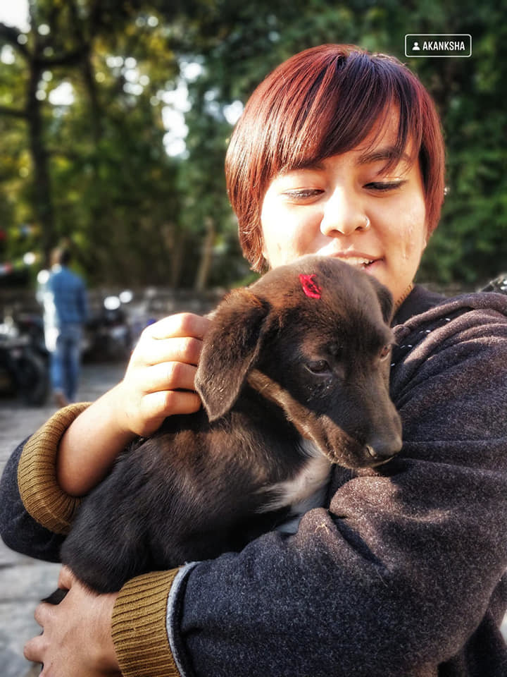 Vaccinate 2000 Street Dogs in India for Rabies