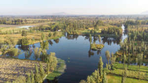 Xochimilco is full of lakes and water channels