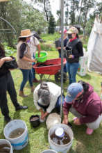 Workshops
