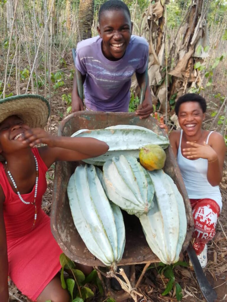 Youth Farming to Eliminate Hunger in Rural Nigeria