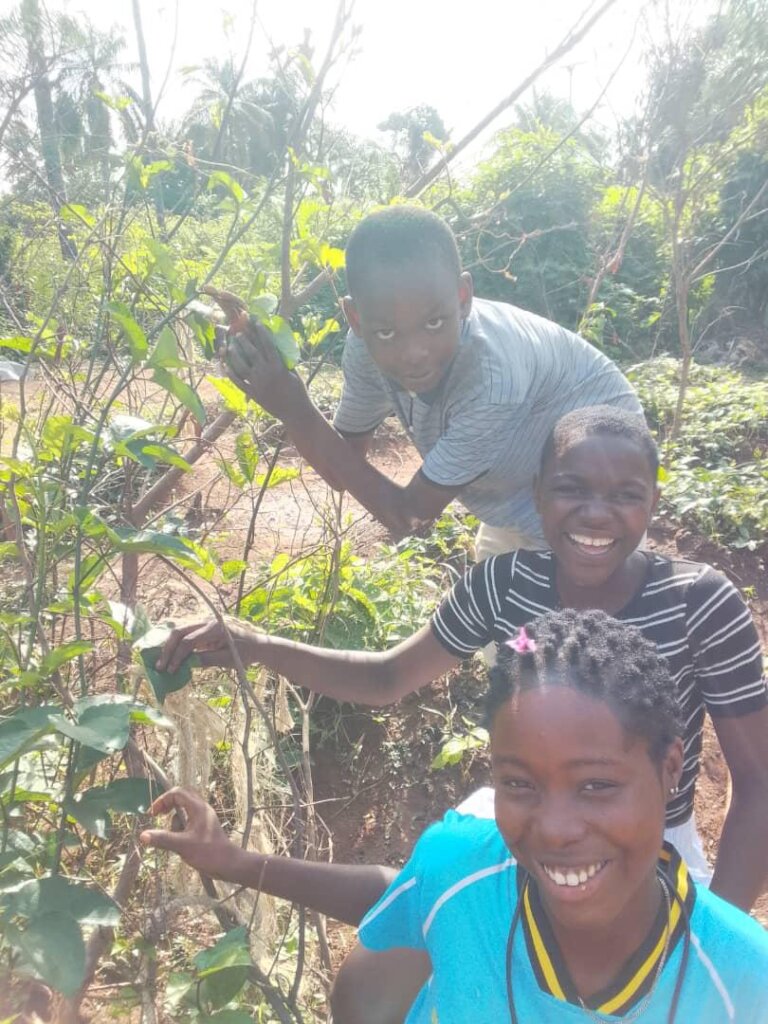 Youth Farming to Eliminate Hunger in Rural Nigeria