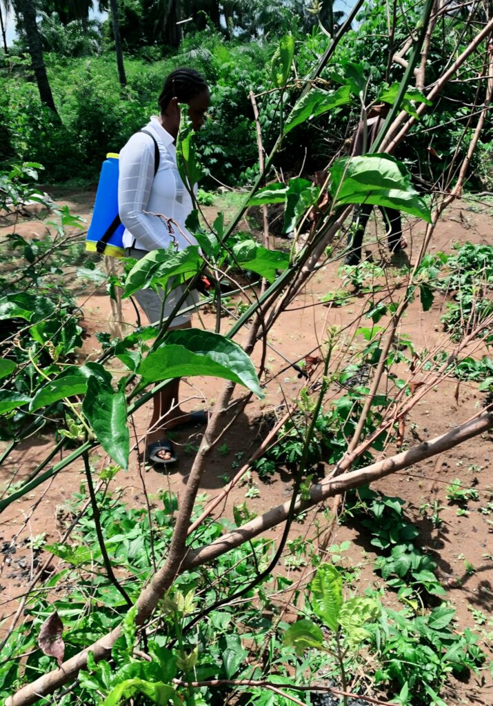 Youth Farming to Eliminate Hunger in Rural Nigeria