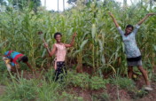 Youth Farming to Eliminate Hunger in Rural Nigeria