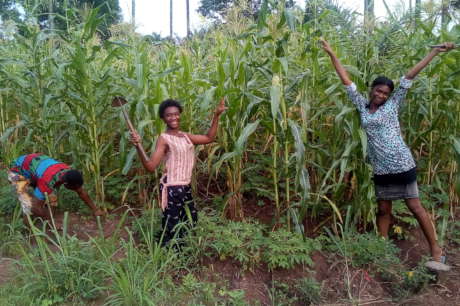 Youth Farming to Eliminate Hunger in Rural Nigeria