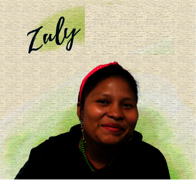 zuly