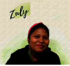 zuly