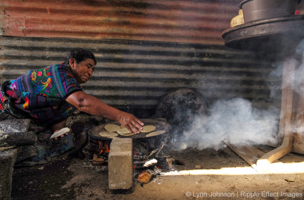 Fight deforestation & provide safe homes for women