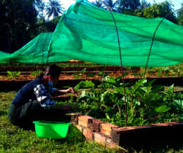 As always, residents diligently care for the farm