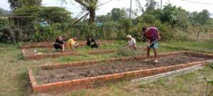 Residents are farming at Damnok Toek farm.