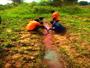 ENVIRONMENTAL CONSERVATION IN BUSOGA SUB REGION