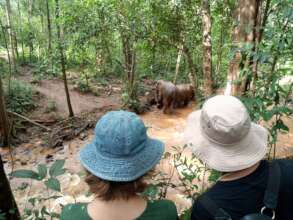 EVP ecotourism - Visitors for Pchnum Ben holidays