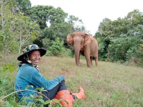 EVP elephants - Darling with mahout Mbloin