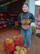 Elephant food - community bananas