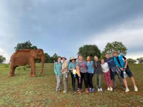 Group & Sambo