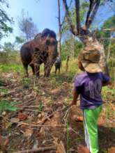 Next generation mahout